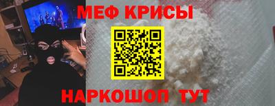молекула духа Кингисепп