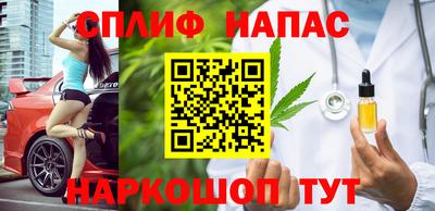 молекула духа Кингисепп
