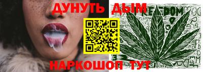 молекула духа Кингисепп