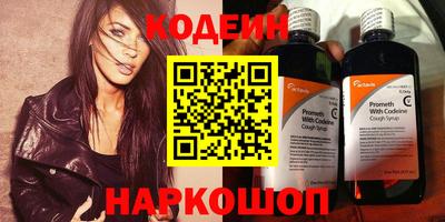 молекула духа Кингисепп