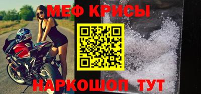 молекула духа Кингисепп