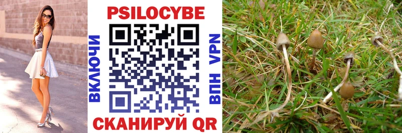 купить закладку  Краснокаменск  darknet как зайти  Псилоцибиновые грибы Magic Shrooms 
