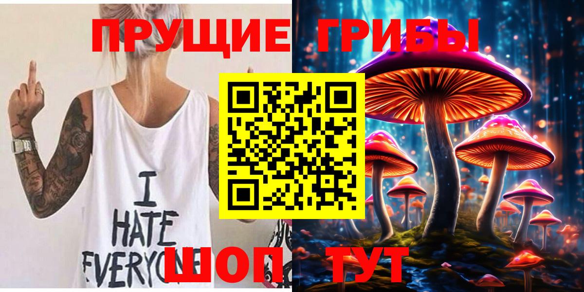 Галлюциногенные грибы Psilocybe Краснокаменск