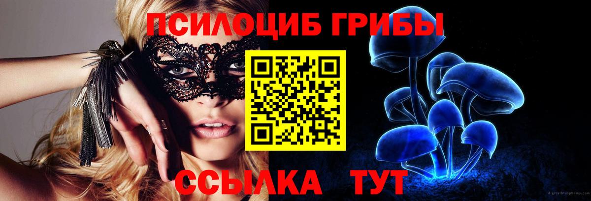 Краснокаменск  Галлюциногенные грибы ЛСД  купить наркотик  Вход с VPN  Галлюциногенные грибы GOLDEN TEACHER 
