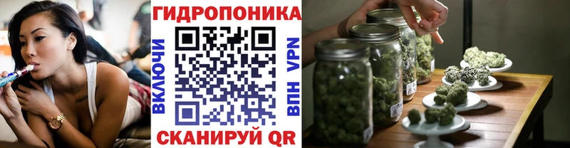 как найти наркотики  Краснокаменск  Бошки марихуана планчик 